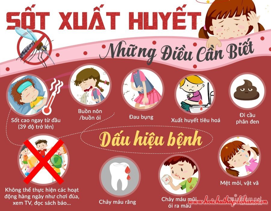 KHÔNG CÓ LĂNG QUĂNG KHÔNG CÓ SỐT XUẤT HUYẾT